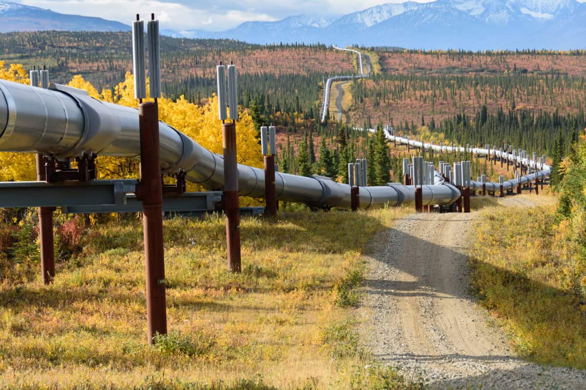 1 High-Yield Dividend Stock You Can Buy and Hold for a Decade