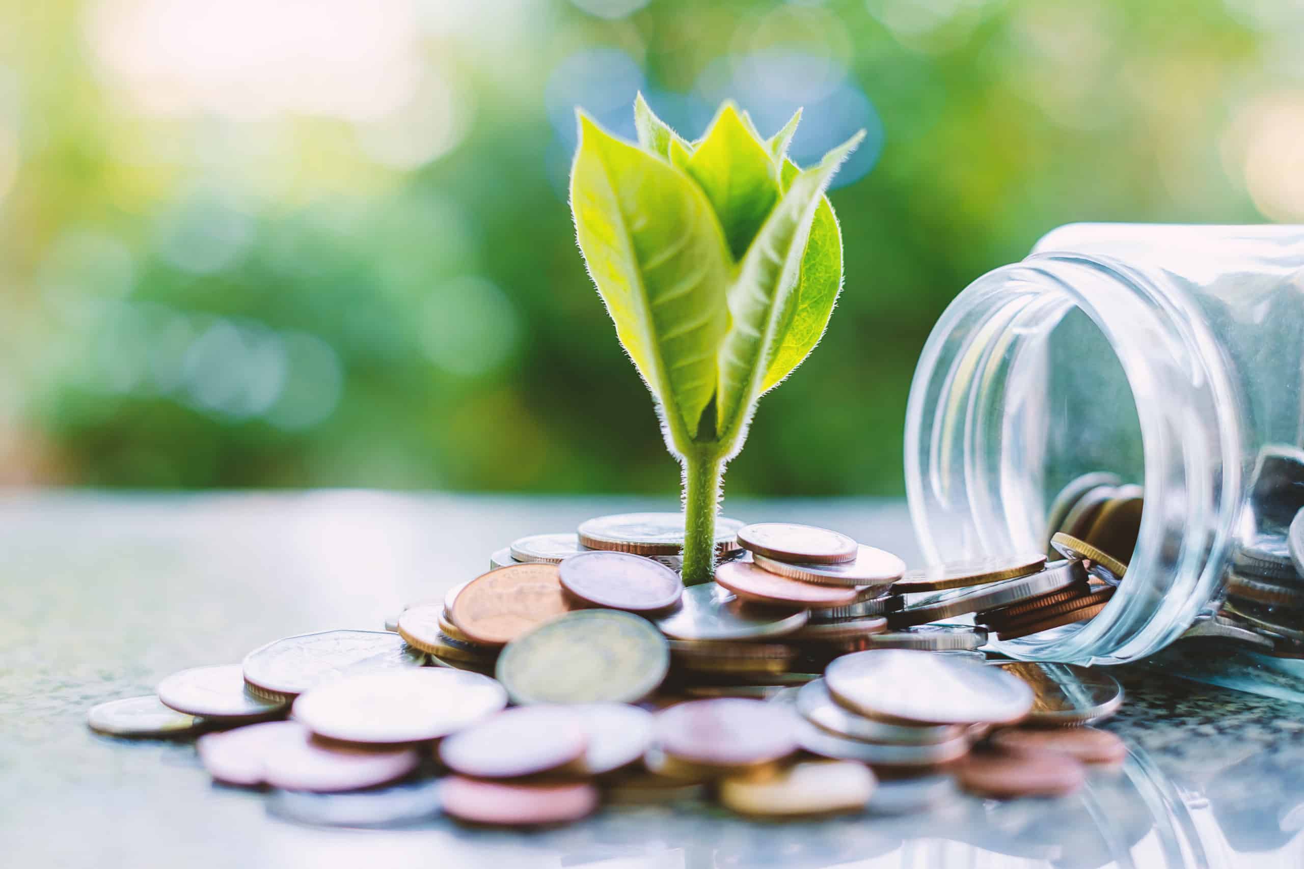 5 TSX Dividend Stocks With Solid Yields Built for Steady Cash Flow in Any Market