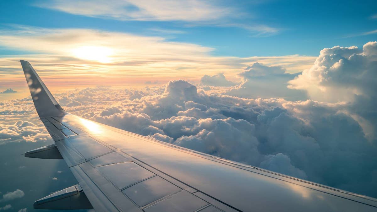 Another airline to be dissolved, all flights canceled