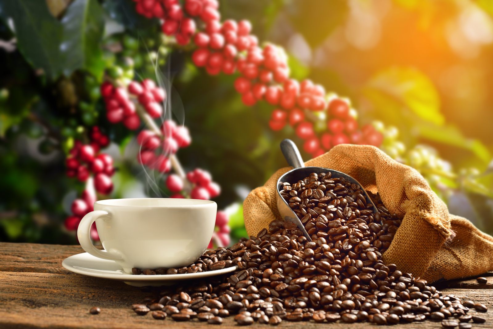 Coffee Prices Finish Sharply Higher in Illiquid Market