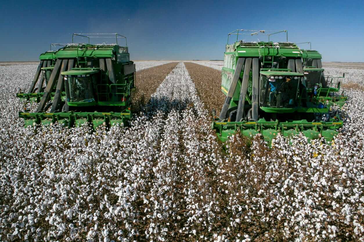 Cotton Easing Lower on Thursday