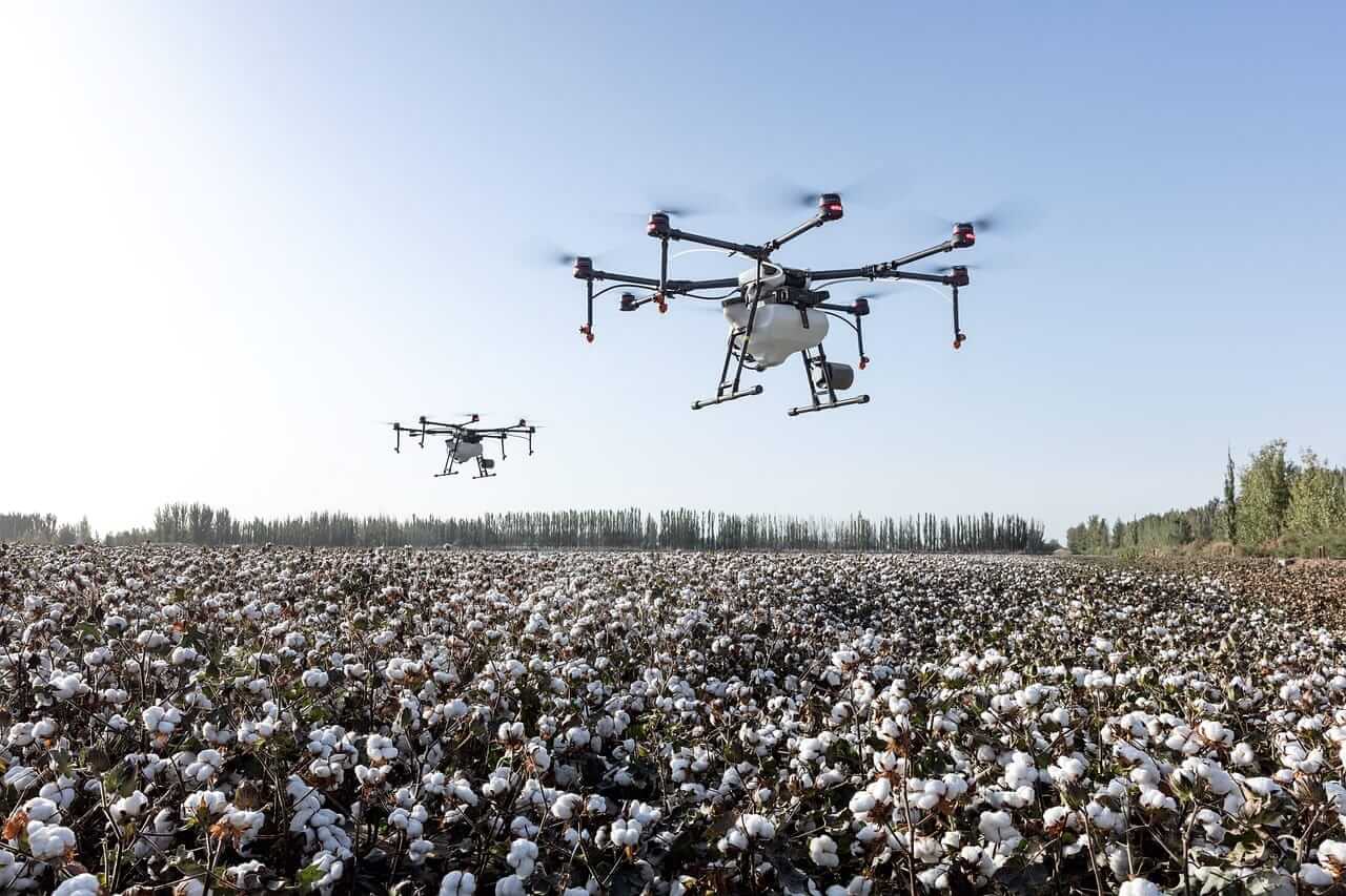 Cotton Posts Monday Gains, as Ratings Slip