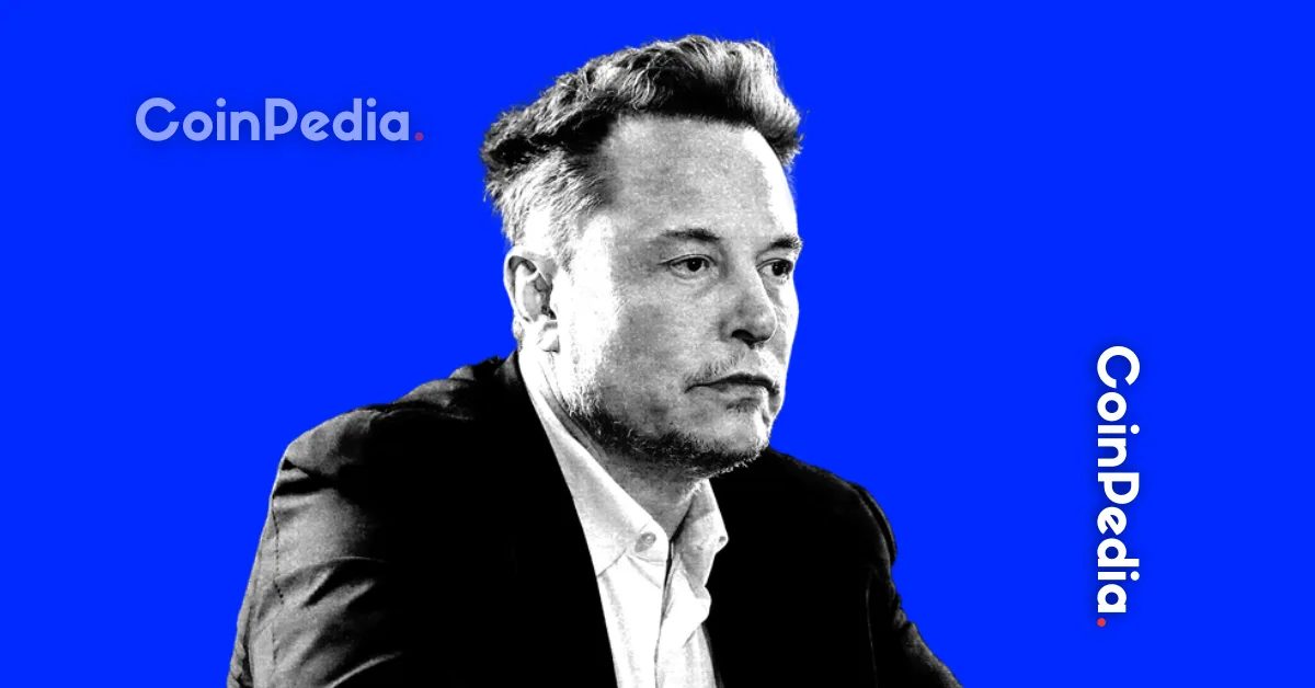 Elon Musk Highlights Grok Imagine’s AI Image and Video Generation Tools