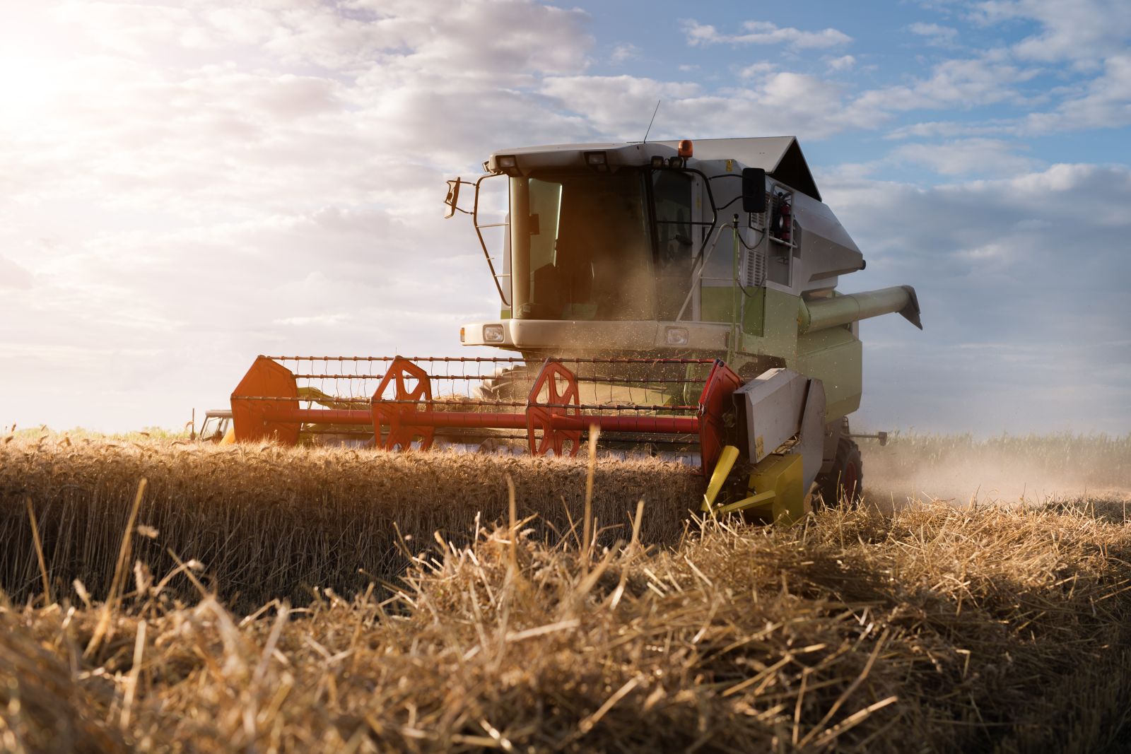 Wheat Closes Mixed on Thursday