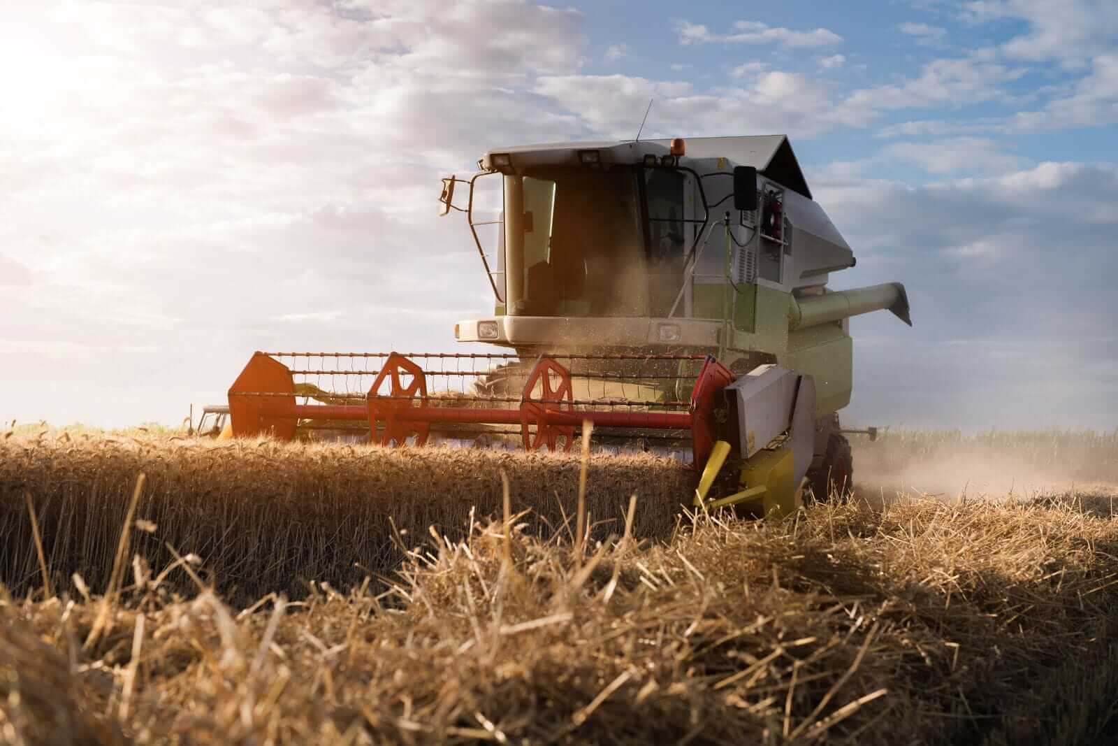 Wheat Falling Back on Wednesday
