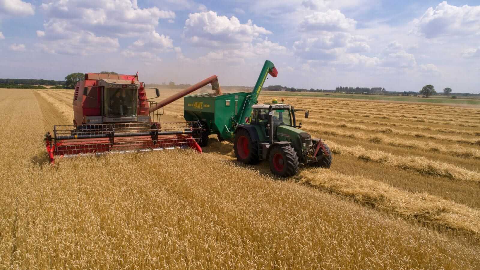 Wheat Slips Lower on Monday